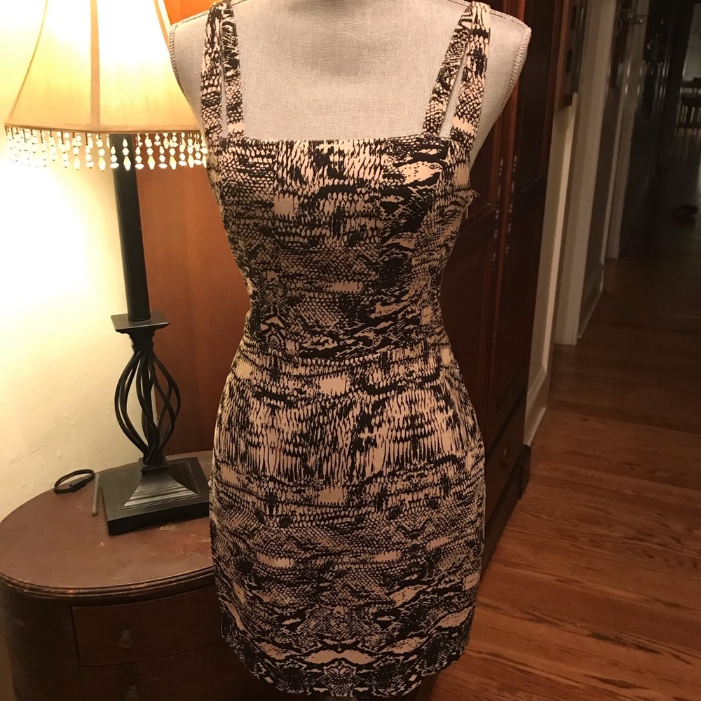 Women’s dress